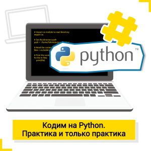 Кодим на Python. Практика и только практика. - Школа цифровых искусств для детей от 8 до 14 лет